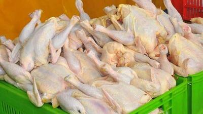 صادرات مرغ مازاد، آزاد شد