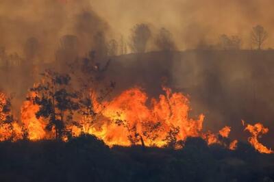 افزایش آتش‌سوزی‌های جنگلی در جهان