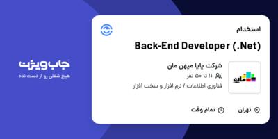 استخدام Back-End Developer (.Net) در شرکت پایا میهن مان