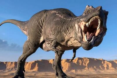 بزرگترین دایناسور دنیا بعد از مدتها کشف شد/ویدیو - مه ویدیو