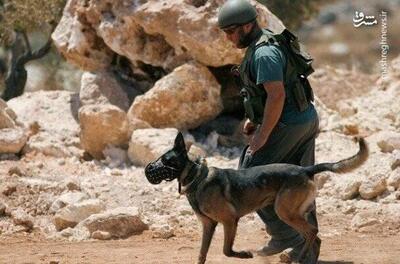 فیلم/ حمله سگ ارتش اسرائیل به پیرزن فلسطینی