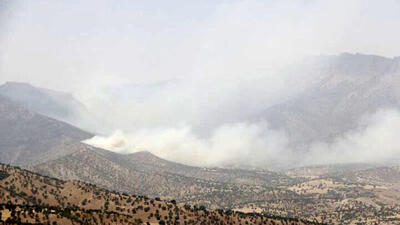ادامه آتش‌سوزی‌های سریالی در ارتفاعات ایذه /آتش به جان جنگلهای «تنوش» افتاده
