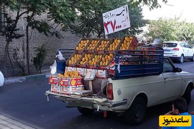 لب مرز پاکستان خبری است؟ / پشت پرده فراوانی انبه در وانت‌های میوه فروشان خیابانی