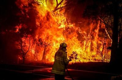 افزایش آتش‌سوزی‌های جنگلی در جهان
