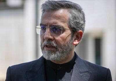 باقری: سیاست همسایگی شهید رئیسی چهره جدیدی از ایران نشان داد - شهروند آنلاین