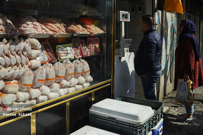 وزارت جهاد کشاورزی اجازه صادرات مرغ مازاد را ابلاغ کرد