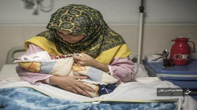 نوزاد عجول در جاده مهاباد- سردشت به دنیا آمد