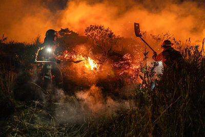 افزایش‌ آتش‌سوزی‌ها در جنگل‌های جهان