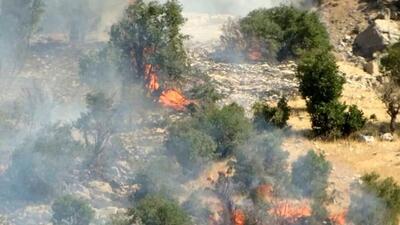 (ویدیو) آتش‌سوزی در لرستان: ۱۷۰ هکتار جنگل سوخت