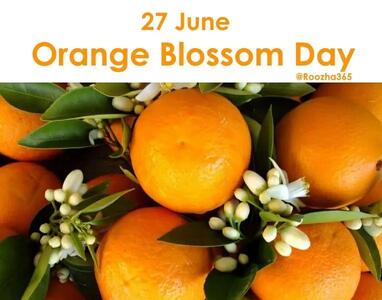 ۲۷ ژوئن روز بهار نارنج است