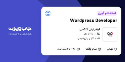 استخدام Wordpress Developer در اینفینیتی گلکسی