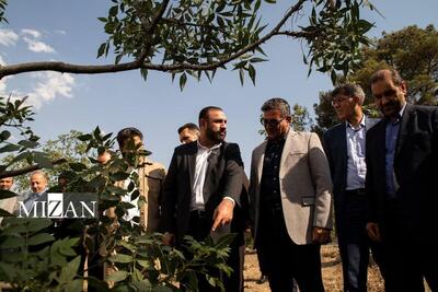 تقدیر اعضای شورای اسلامی شهر تهران از ورود دادستانی تهران به مسئله خشک شدن درختان بوستان چیتگر