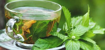 خواص بی نظیر چای پونه برای درمان این نوع بیماری ها