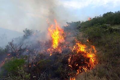 :دسنگیری ۱۹ عامل آتش سوزی عمدی در مراتع و جنگل های لرستان