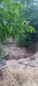 آبگرفتگی معابر و خیابان های آمل در پی بارش شدید باران در صبح پنجشنبه