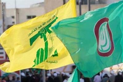 درخواست مشترک حزب الله و جنبش امل از دولت لبنان