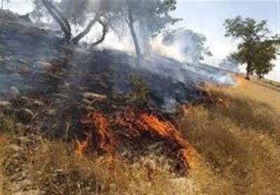 حریق ادامه‌دار در جنگل‌های لرستان/ شناسایی 19 عامل آتش‌سوزی - تسنیم