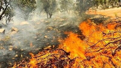 جنگل‌های هلیساد چهارمحال و بختیاری دچار آتش‌سوزی شد