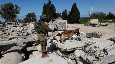 انتقاد سازمان ملل از حمله سگ‌های ارتش اسرائیل به اسرای فلسطینی