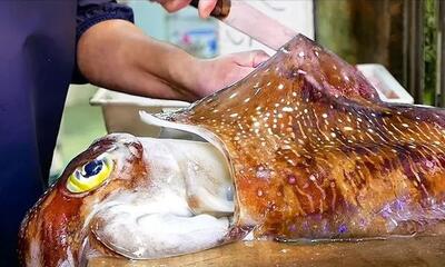 غذای خیابانی در ژاپن؛ تهیه و سرو غذاهای محبوب با ماهی مرکب بزرگ (فیلم)