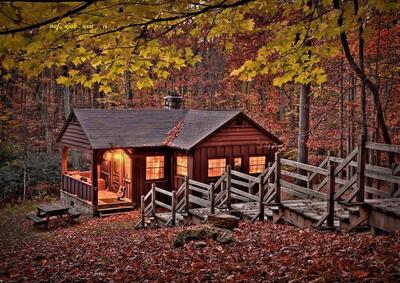 عکس خارق‌العاده از یک خانه جنگلی که با سلفون ساخته شده است