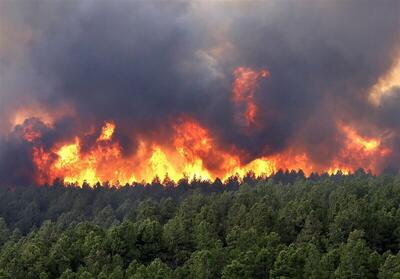محیط زیست قربانی سودجویی و بی‌توجهی/ با وعده و شعار نمی‌توان آتش جنگل‌ها را خاموش کرد