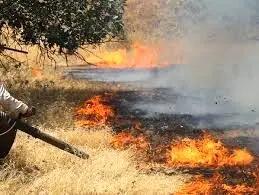آتش سوزی در منطقه جنگلی کوه کیا دزپارت مهار شد/فیلم