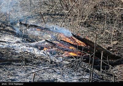 مهار آتش‌سوزی در منطقه حفاظت شده تنگ بستانک مرودشت - تسنیم