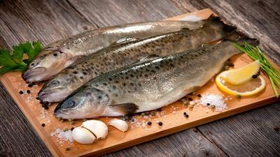 قیمت انواع ماهی در بازار ۱۰ تیر ۱۴۰۳ /جدول