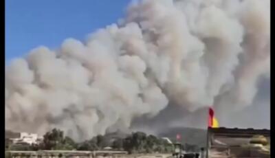 آتش‌سوزی شدید جنگل‌ها در ترکیه (فیلم)