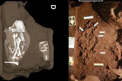 قدیمی‌ترین «قبر» جهان که شاید متعلق به یک گونۀ هوشمند «ماقبل انسان» بوده باشد