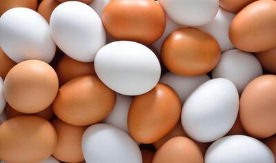 قیمت تخم مرغ در بازار امروز ۱۰ تیر ۱۴۰۳