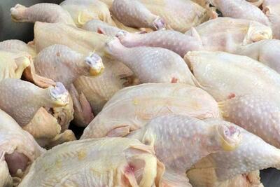 قیمت مرغ در بازار امروز ۱۰ تیر ۱۴۰۳