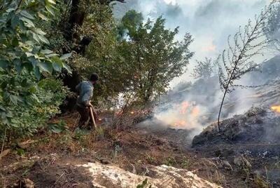 معرفی ۳۰۵ عامل آتش سوزی مزارع لرستان به مراجع قضایی