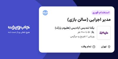 استخدام مدیر اجرایی (سالن بازی) در یکتا تندیس آبادیس (هلیوم پارک)