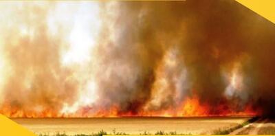 ببینید | تصاویری تازه از آتش‌سوزی شدید جنگل‌ها در ترکیه