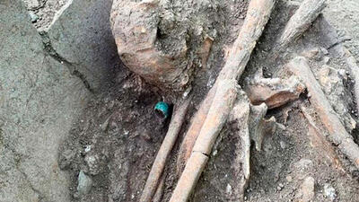پیدا شدن اسکلت یک انسان در عمق 2 متری زمین / در محله بریانک رخ داد!