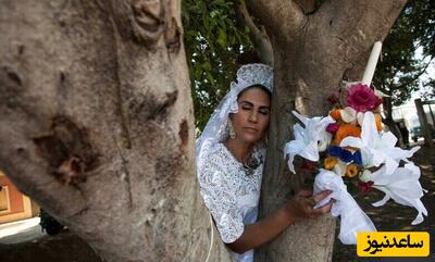 فرهنگ عجیب ازدواج زنان با درخت در هند!!