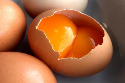 قیمت مصوب تخم مرغ طی ۲ سال گذشته تغییری نداشته است