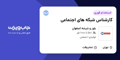 استخدام کارشناس شبکه های اجتماعی در بلور و شیشه اصفهان