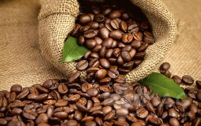 قهوه چیست؟ تاریخچه و مراحل آماده سازی