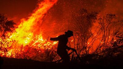اعلام وضعیت اضطراری در ۲ منطقه روسیه به دلیل آتش‌سوزی‌های جنگلی