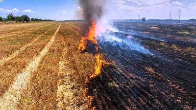 کشاورزان مراقب آتش سوزی در مزارع خود باشند