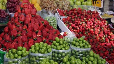 افزایش ۲۰ درصدی تولید و عرضه میوه‌های نوبرانه تابستان