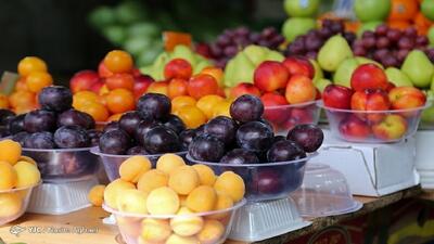 افزایش ۲۰ درصدی تولید و عرضه میوه‌های تابستانه