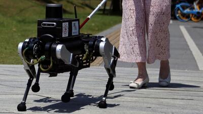 (ویدئو) ربات سگ‌سان ۶ پا عصای دست نابینایان