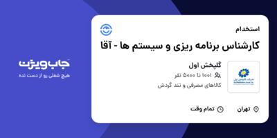 استخدام کارشناس برنامه ریزی و سیستم ها - آقا در گلپخش اول
