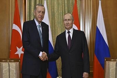«پوتین» با «محمد مخبر» و «اردوغان» دیدار می‌کند