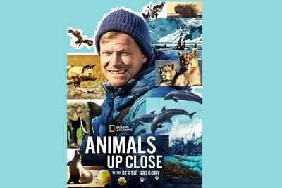 برتی گرگوری شبکه مستند را نزدیک حیوانات می‌برد