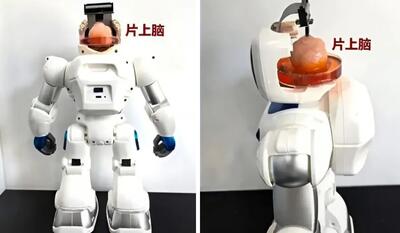 چینی ها ربات هیبریدی با مغز انسانی می سازند